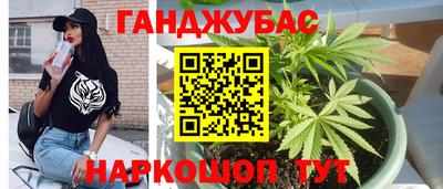 прущие крисы Гуково