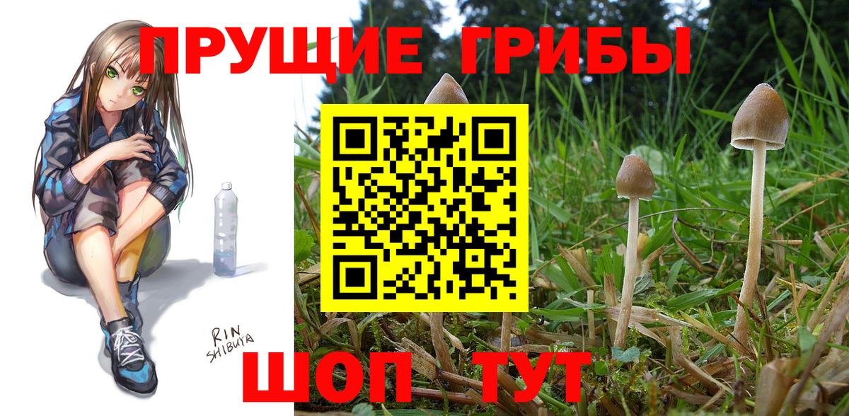 Псилоцибиновые грибы мухоморы Гай