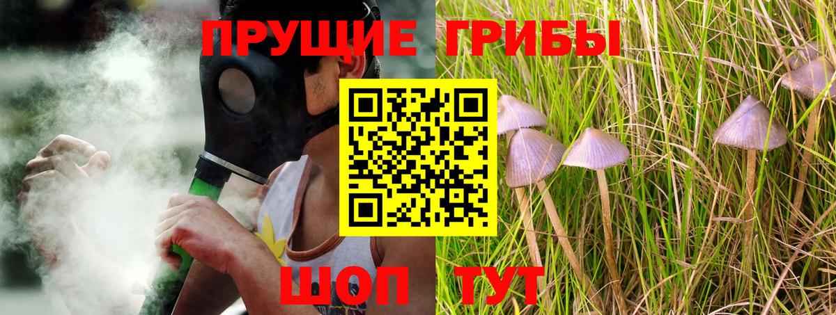 где купить наркотик  Псилоцибиновые грибы Psilocybine cubensis  Вход с VPN  Гай 