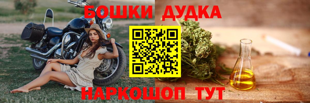 Канабис план Гай